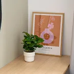 North By Urbanesq Cortina N *