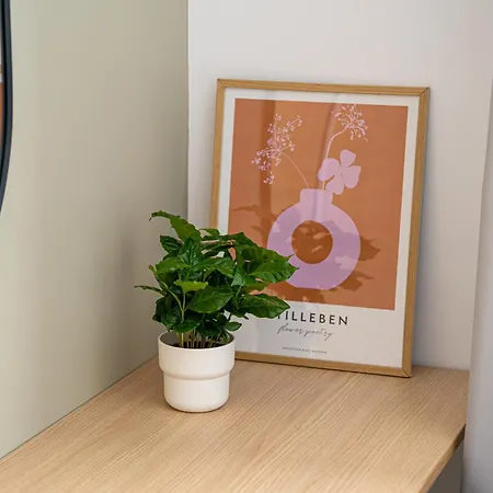 North By Urbanesq Cortina N *